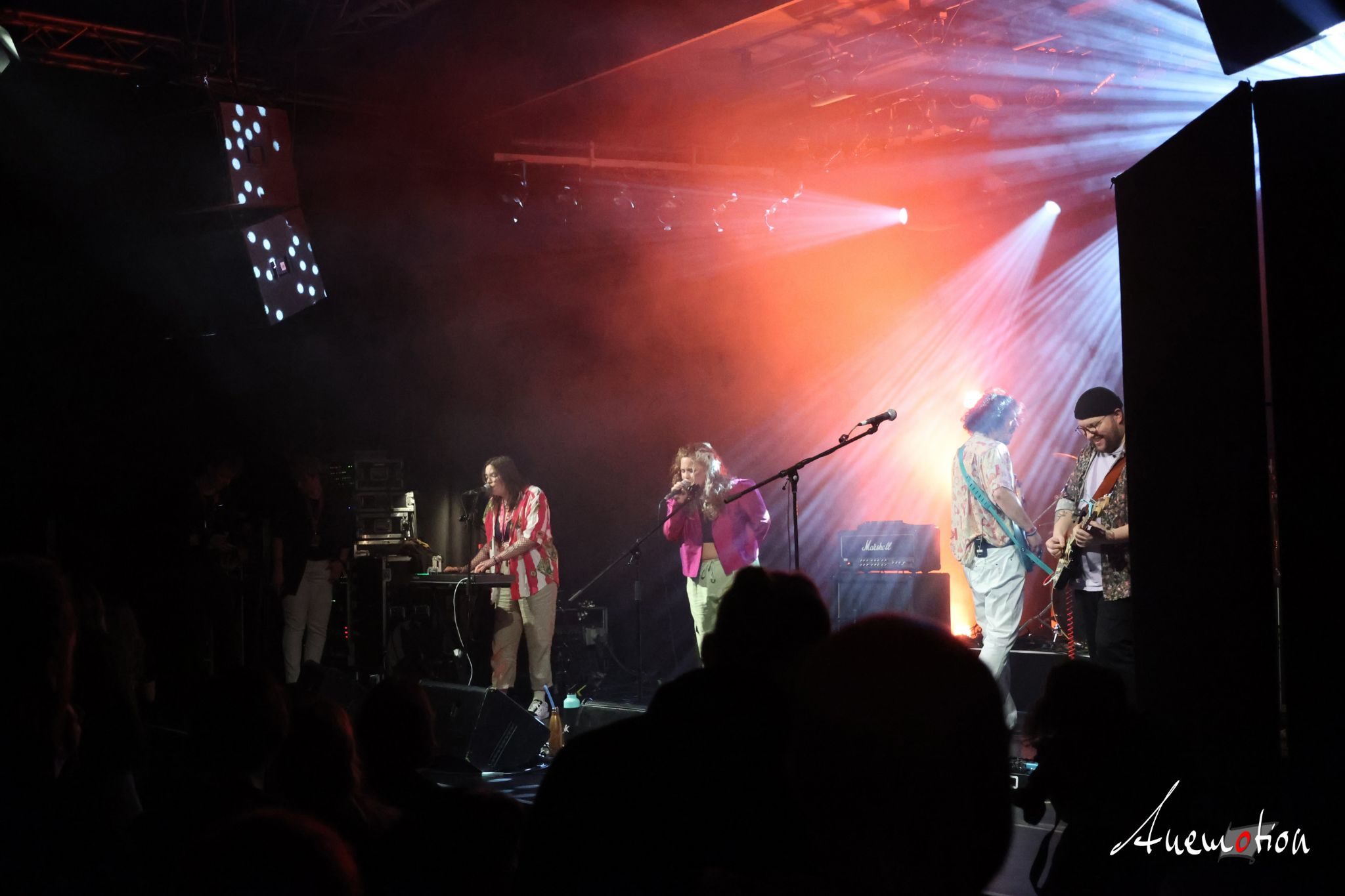 ElephantsFalling (57)